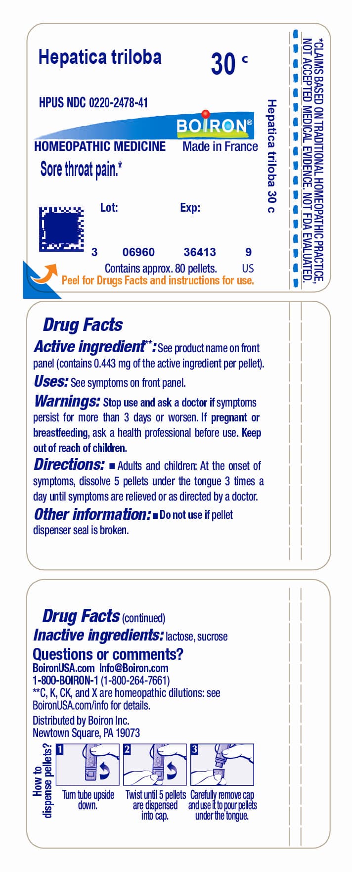 Hepatica Triloba — Reference image, actual packaging may vary