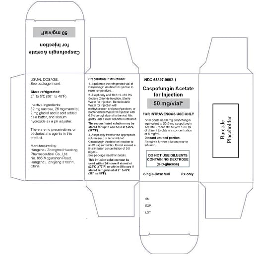 Caspofungin Acetate — Reference image, actual packaging may vary