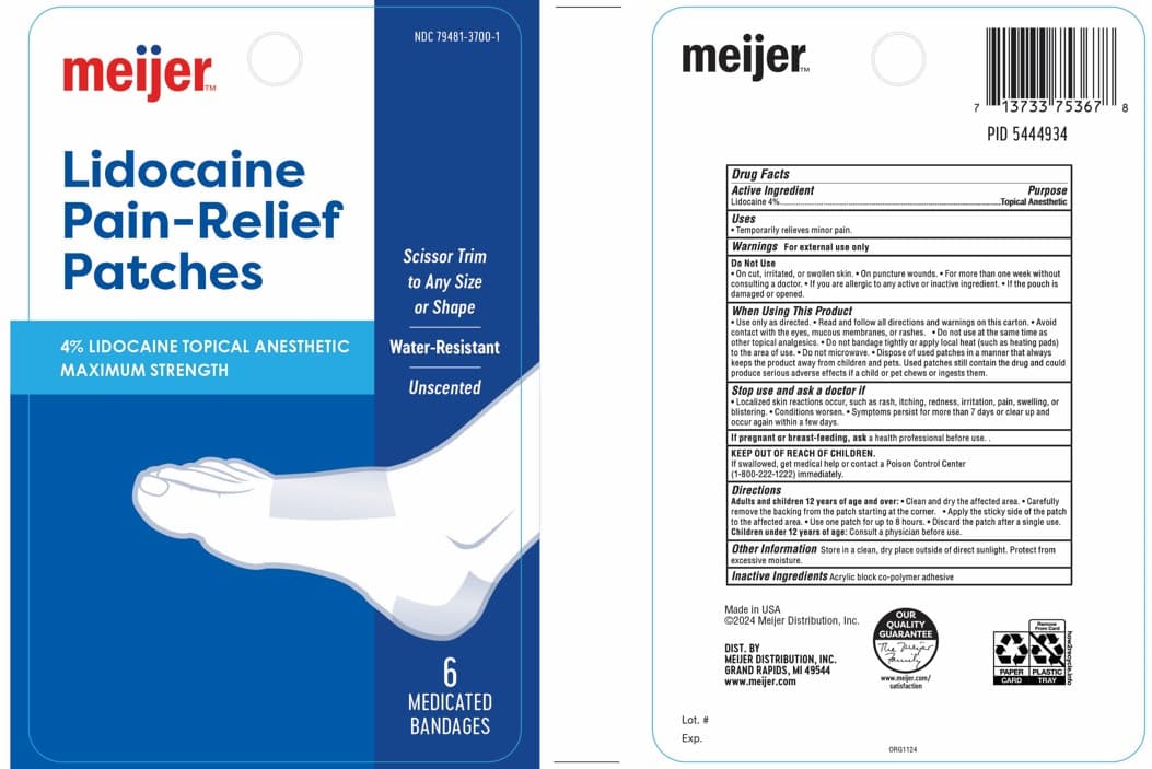 Lidocaine Patch package label